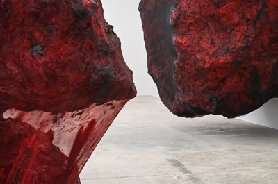 Anish Kapoor - 